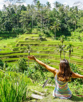 Bali Day Tour