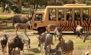 Best Bali Destinations for Kids