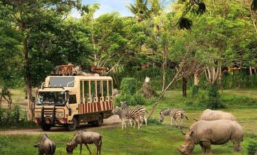 Bali Safari Marine Park