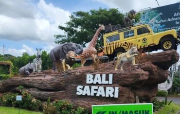 Bali safari