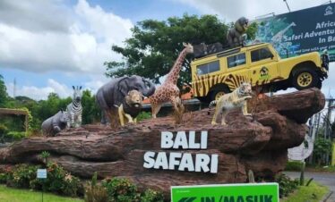Bali safari
