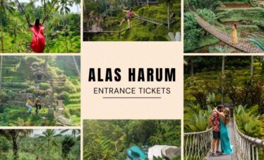Alas Harum Bali Swing