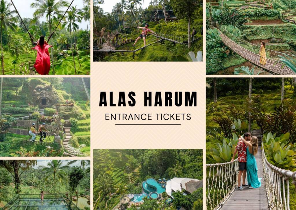 Alas Harum Bali Swing