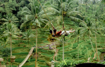 Ubud Full Day Tour