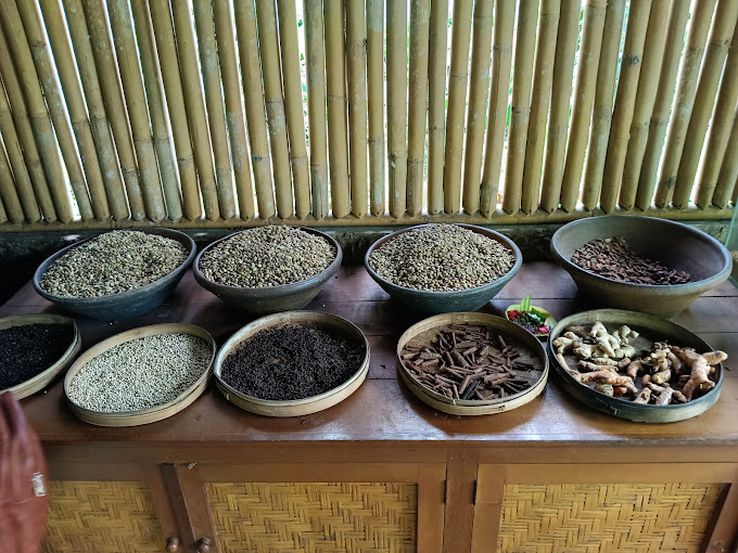 Bali Luwak coffee plantation