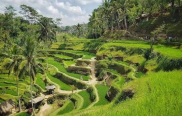 Ubud Full Day Tour