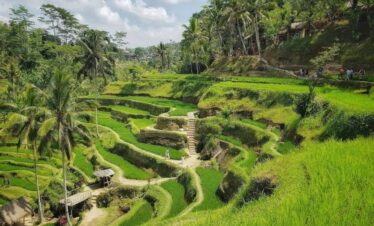 Ubud Full Day Tour