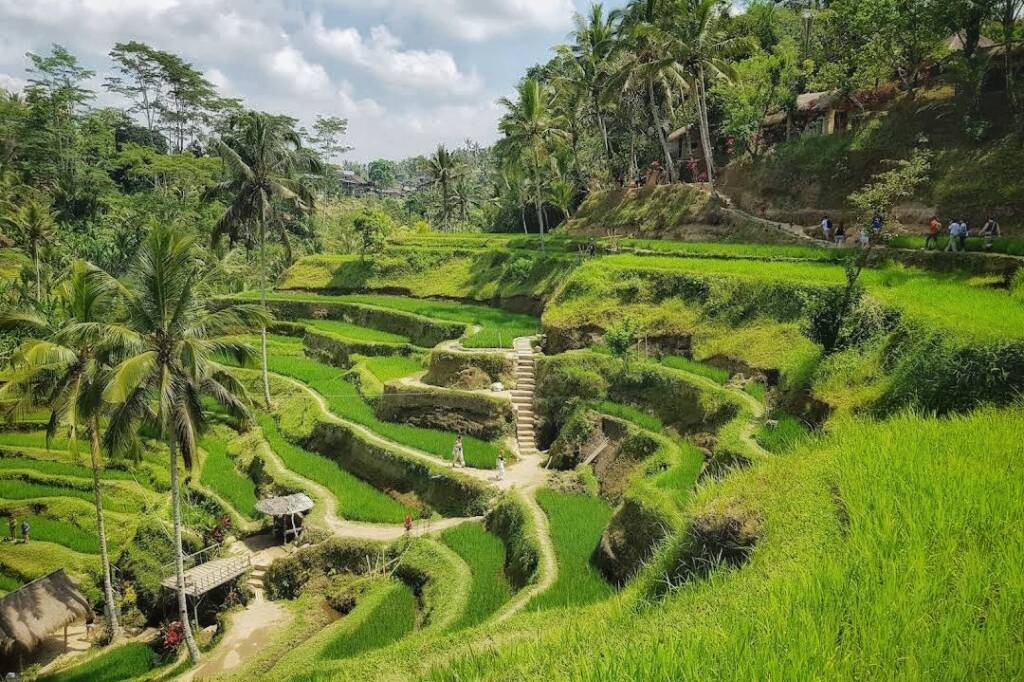 Ubud Full Day Tour