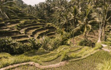 Family Vacation in Bali