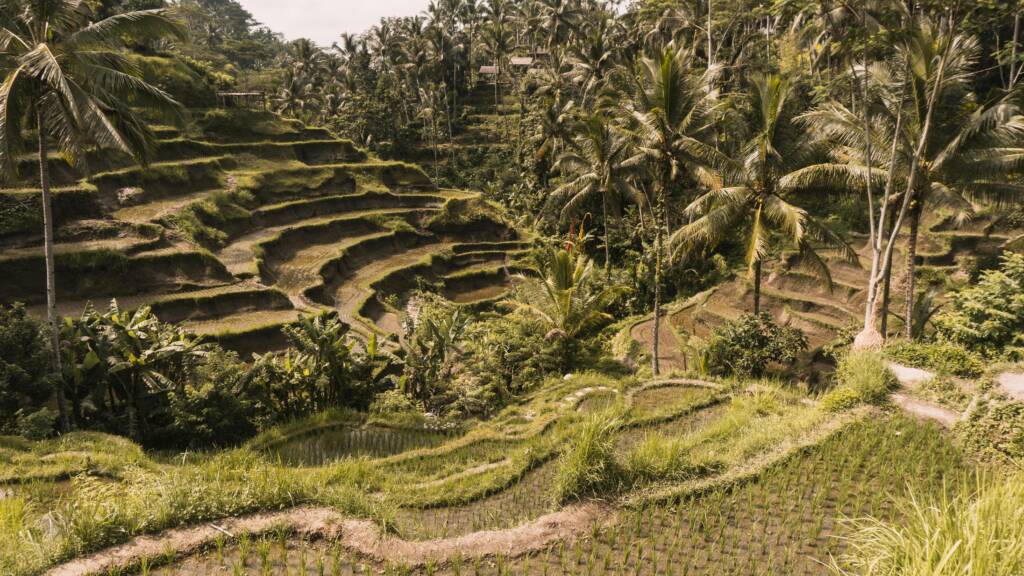 Family Vacation in Bali