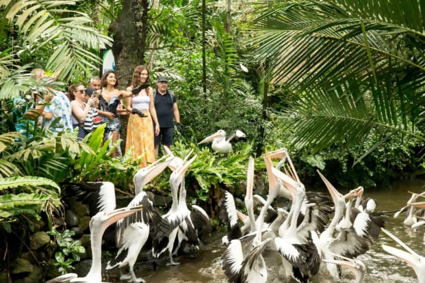 Bali bird park