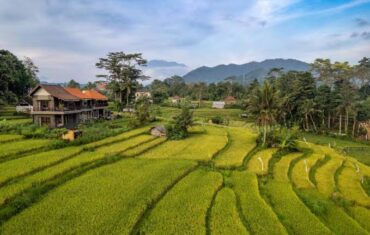 The Hidden Paradise of Sidemen Bali