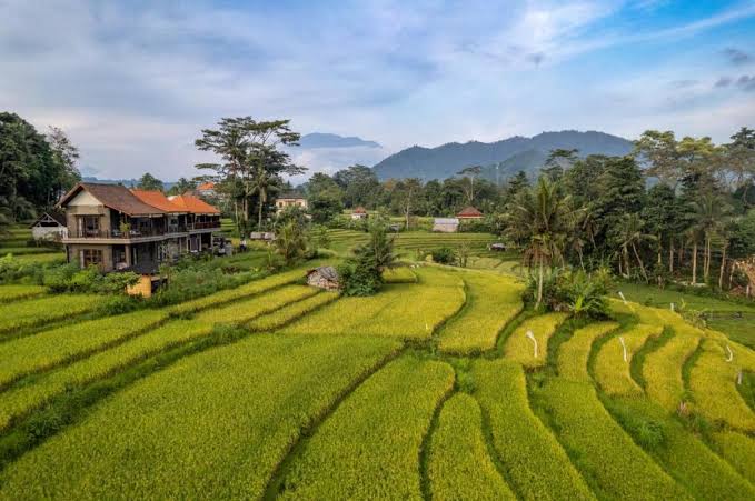 The Hidden Paradise of Sidemen Bali