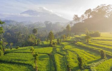 The Hidden Paradise of Sidemen Bali