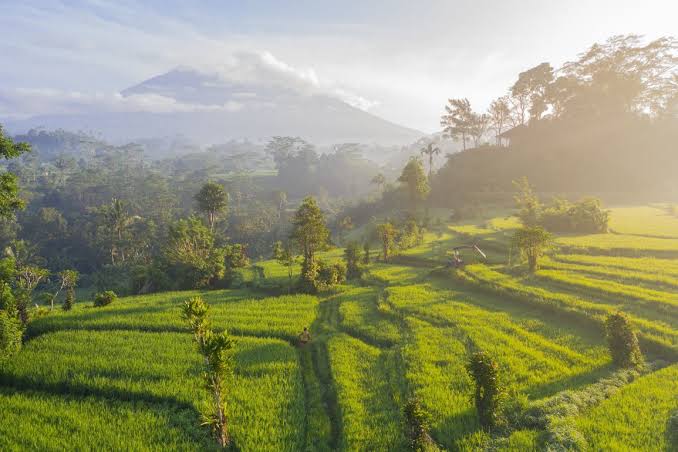 The Hidden Paradise of Sidemen Bali