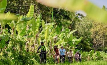 Ubud cycling tour