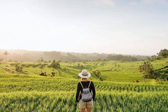 Jatiluwih rice terrace