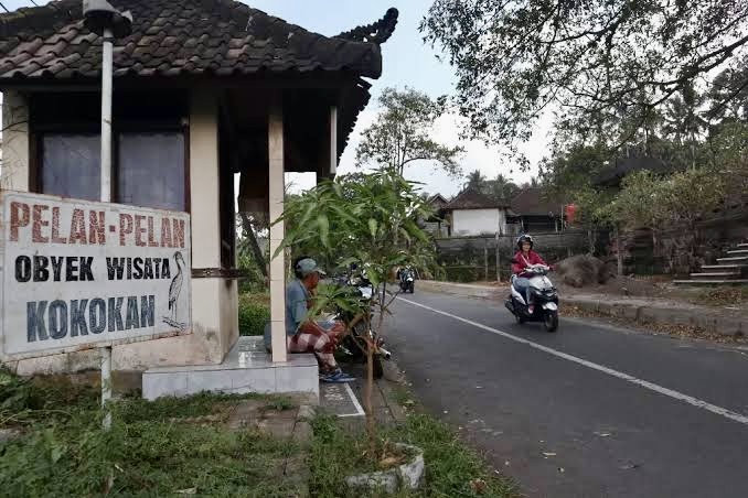 Petulu Heron Village