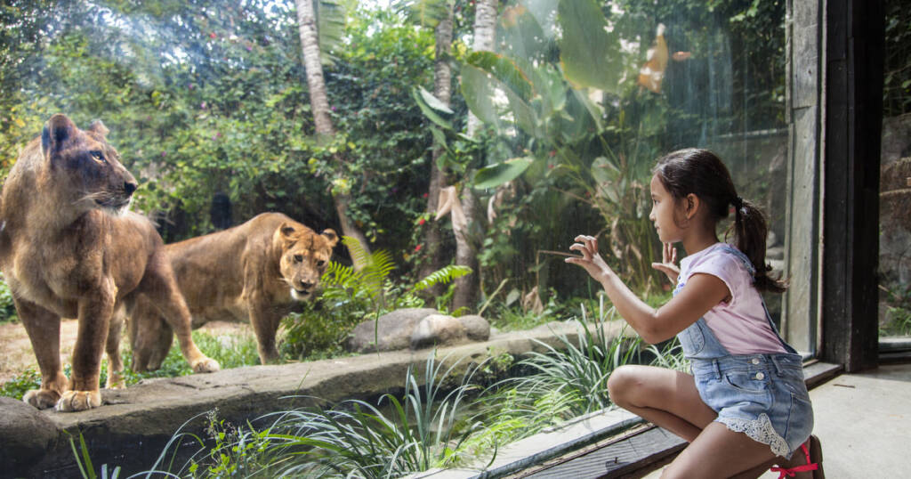 Best Bali Destinations for Kids