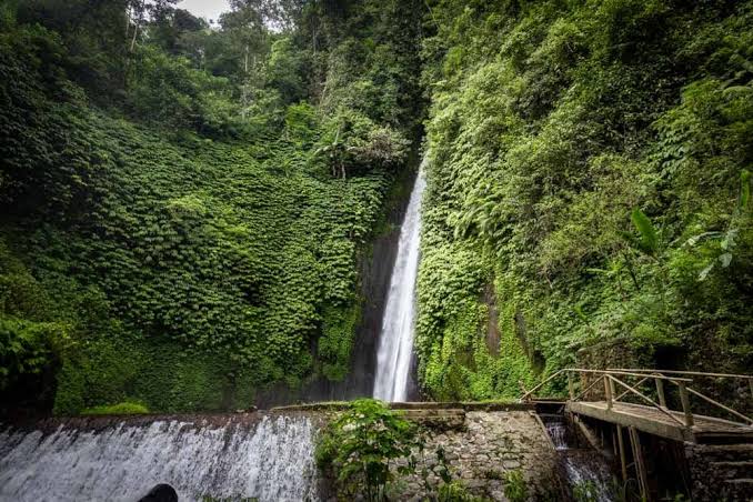 Munduk Bali