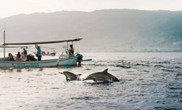 Lovina Dolphin Tour