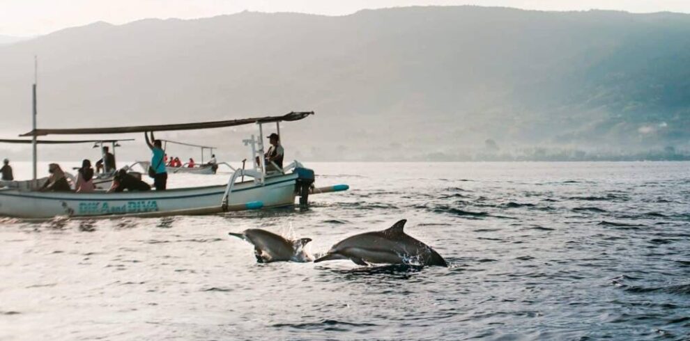 Lovina Dolphin Tour