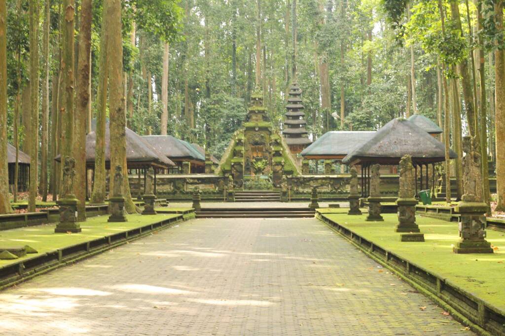 sangeh monkey forest