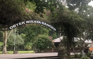 sangeh monkey forest