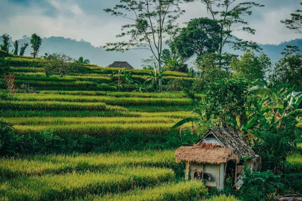 Hidden gems in Bali