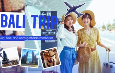 Bali driver price per day