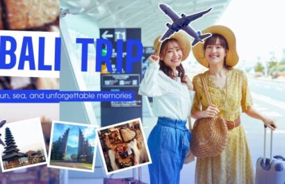 Bali driver price per day