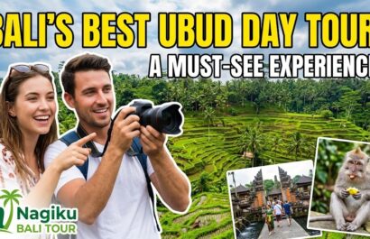 Ubud Day Tour, Best Things to Do in Ubud