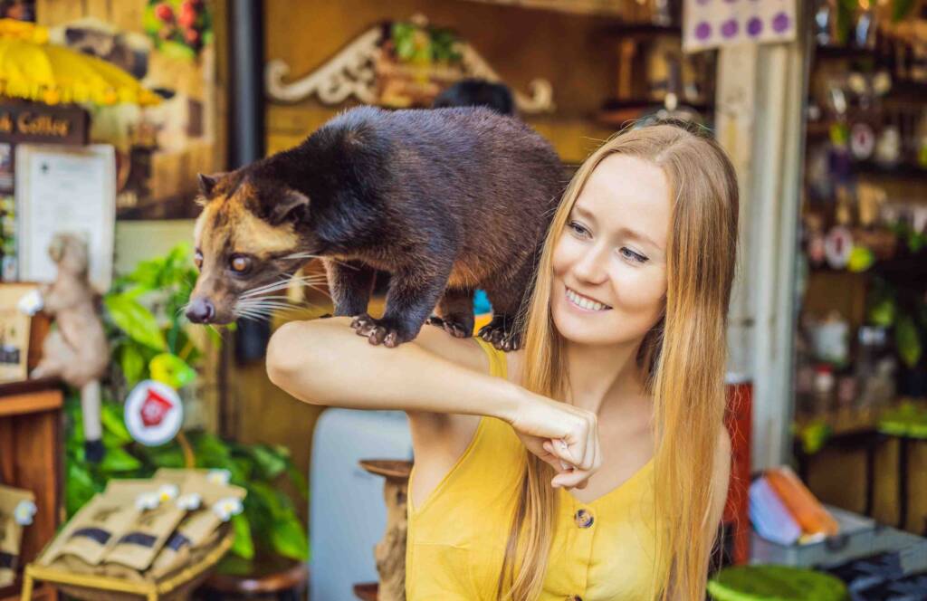 visiting Coffee plantation in ubud Bali