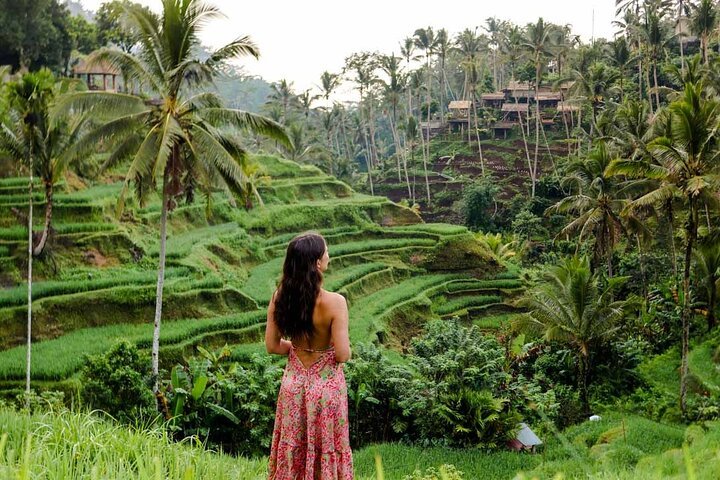 Tegallalang rice terraces near Ubud Bali