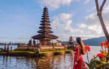 Best friendly private ubud tour driver