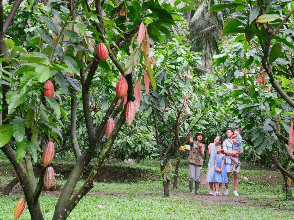 chocolate factory and Bali sightseeing tour