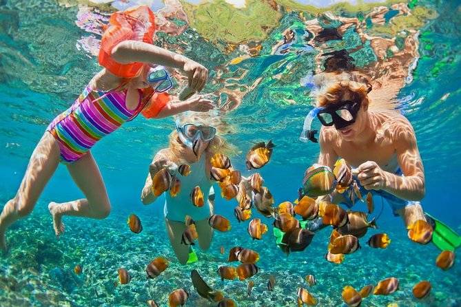 Snorkeling in Nusa Penida