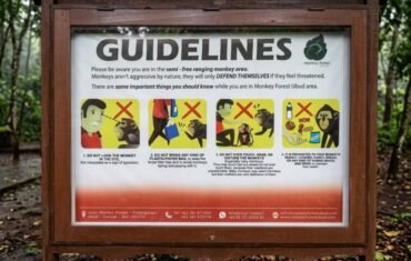 Ubud Monkey forest rules