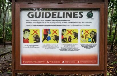 Ubud Monkey forest rules