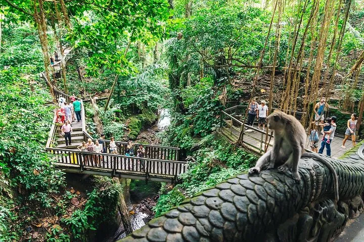 Monkey Forest Ubud Bali in the morning