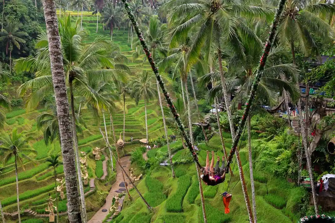 Rainy tropical road and green landscape in Bali